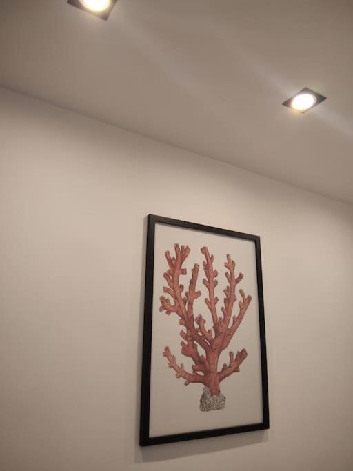 Appartement Dimora Cutelli à Catane Extérieur photo